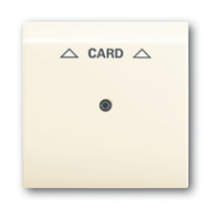 1753-0-0079 (1792-72) BJE Impuls Беж Накладка карточного выключателя (мех 2025 U)