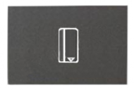 N2214.5 AN NIE Zenit Антрацит Выключатель карточный с задержкой отключения (5-90 сек.) 2 мод