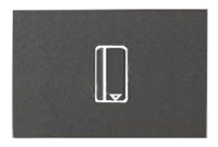 N2214.5 AN NIE Zenit Антрацит Выключатель карточный с задержкой отключения (5-90 сек.) 2 мод