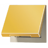 GO2990KL LS 990 Блеск золота Откидная крышка для розеток и изделий с платой 50х50 мм